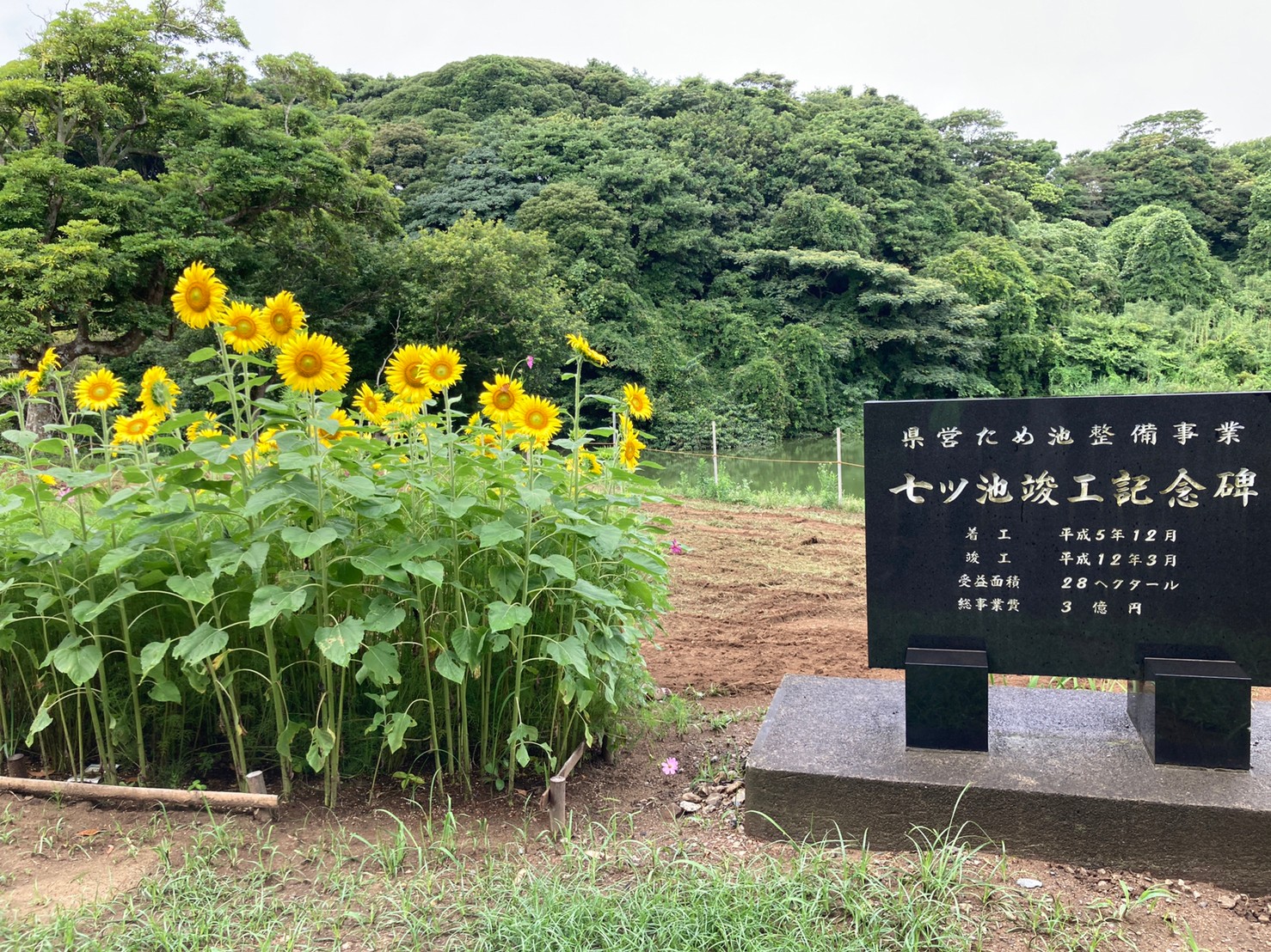 ミッション1進捗状況（令和6年4月）1